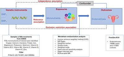 Circulating micronutrients levels and their association with the risk of endometriosis